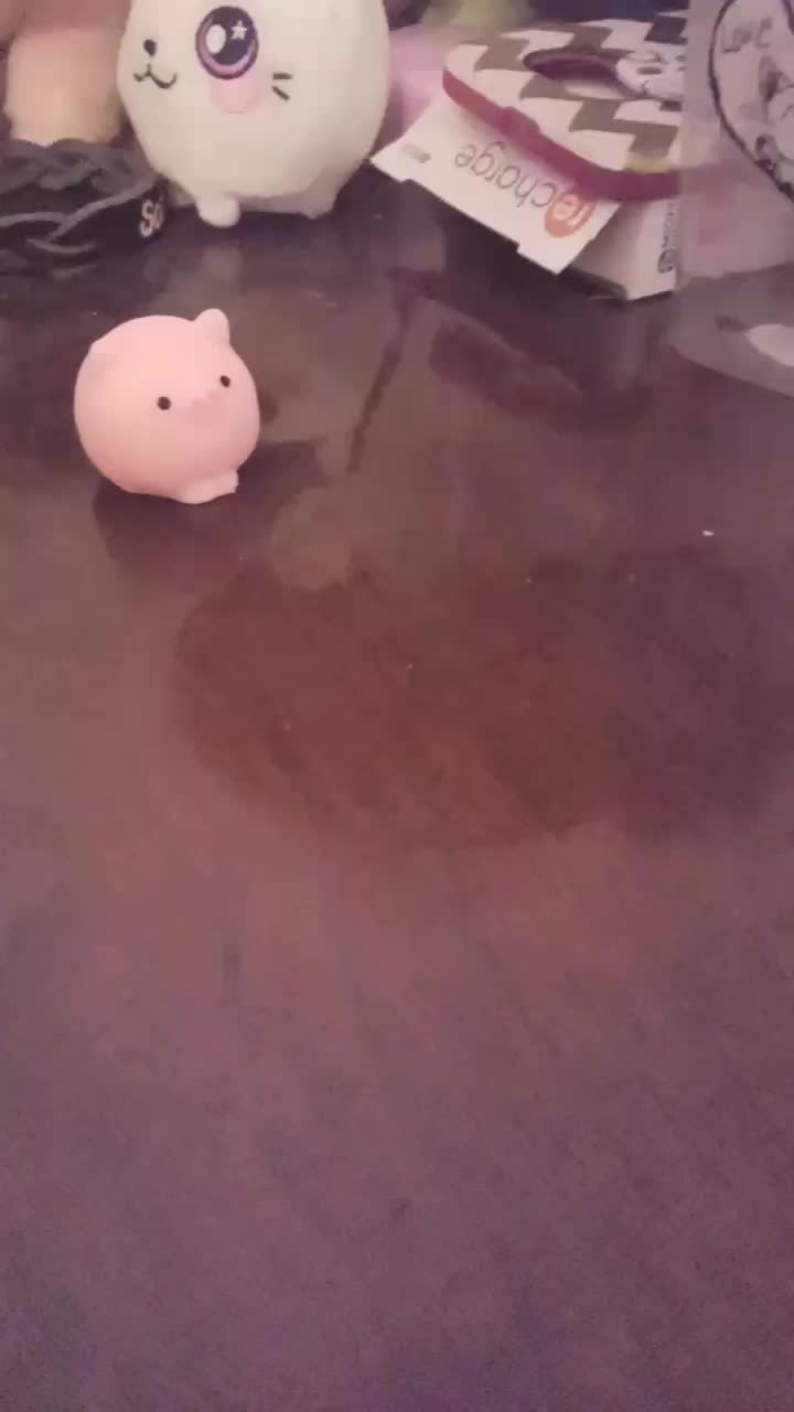 @Mochi Animals