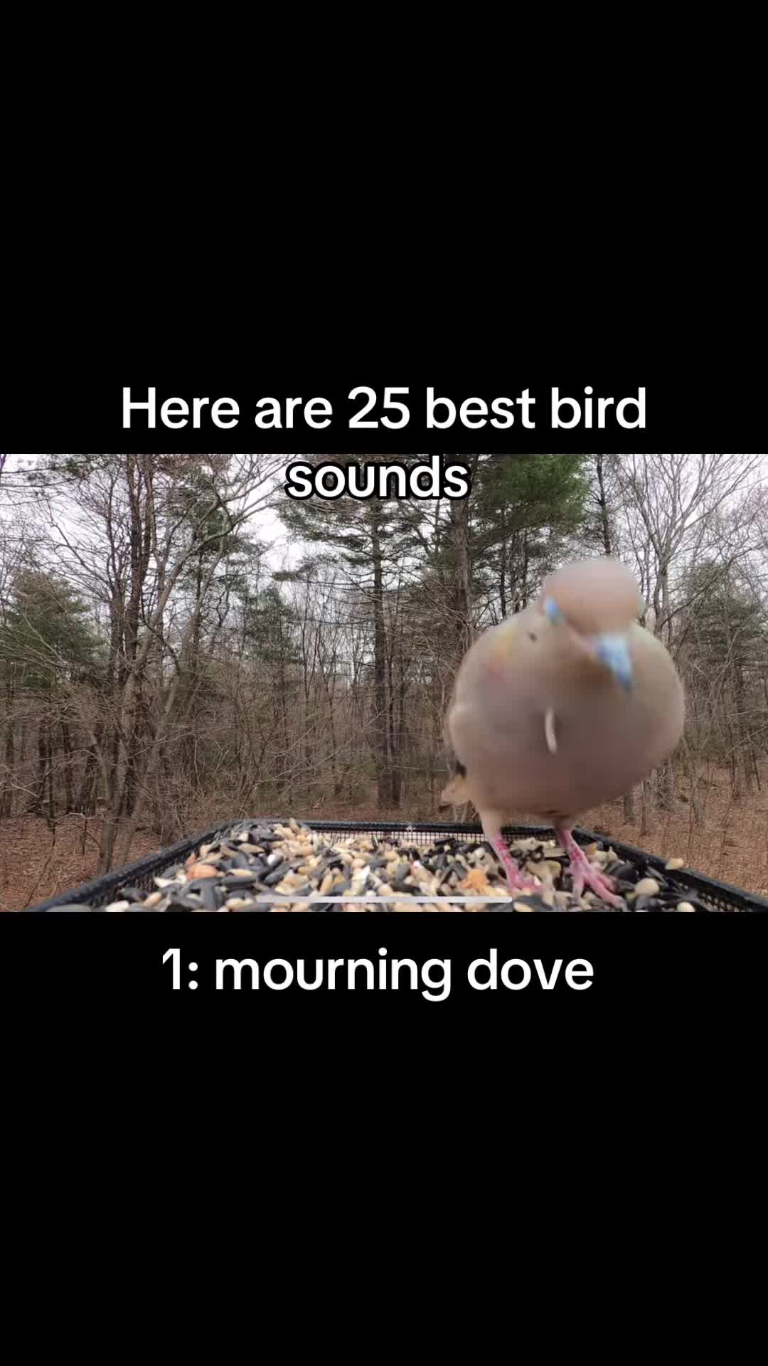 @basicallygeographic