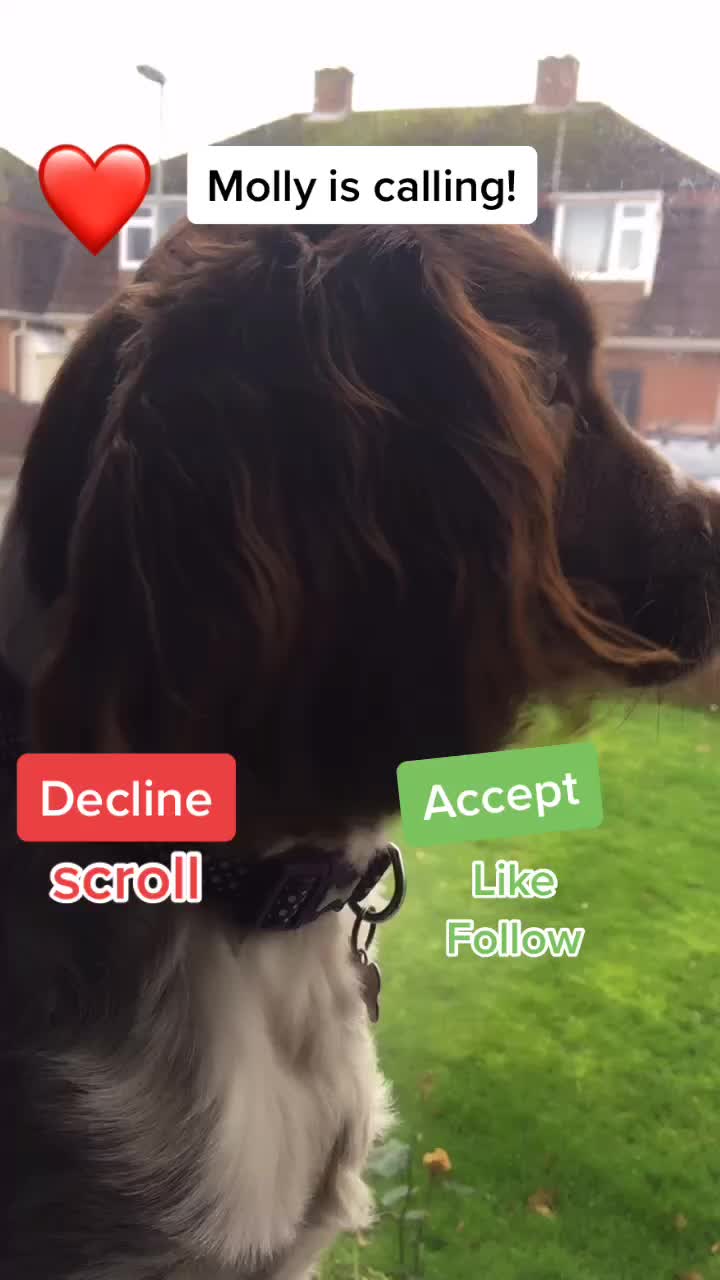 @🐶Molly🐶