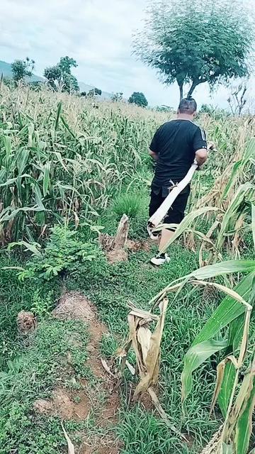 @Hari Singh Thakuri