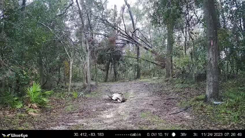 @Fldeerhunter93#2