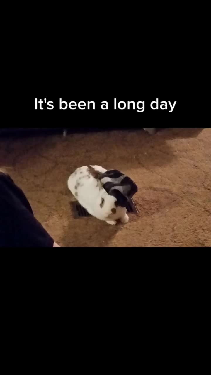 @Lindowo