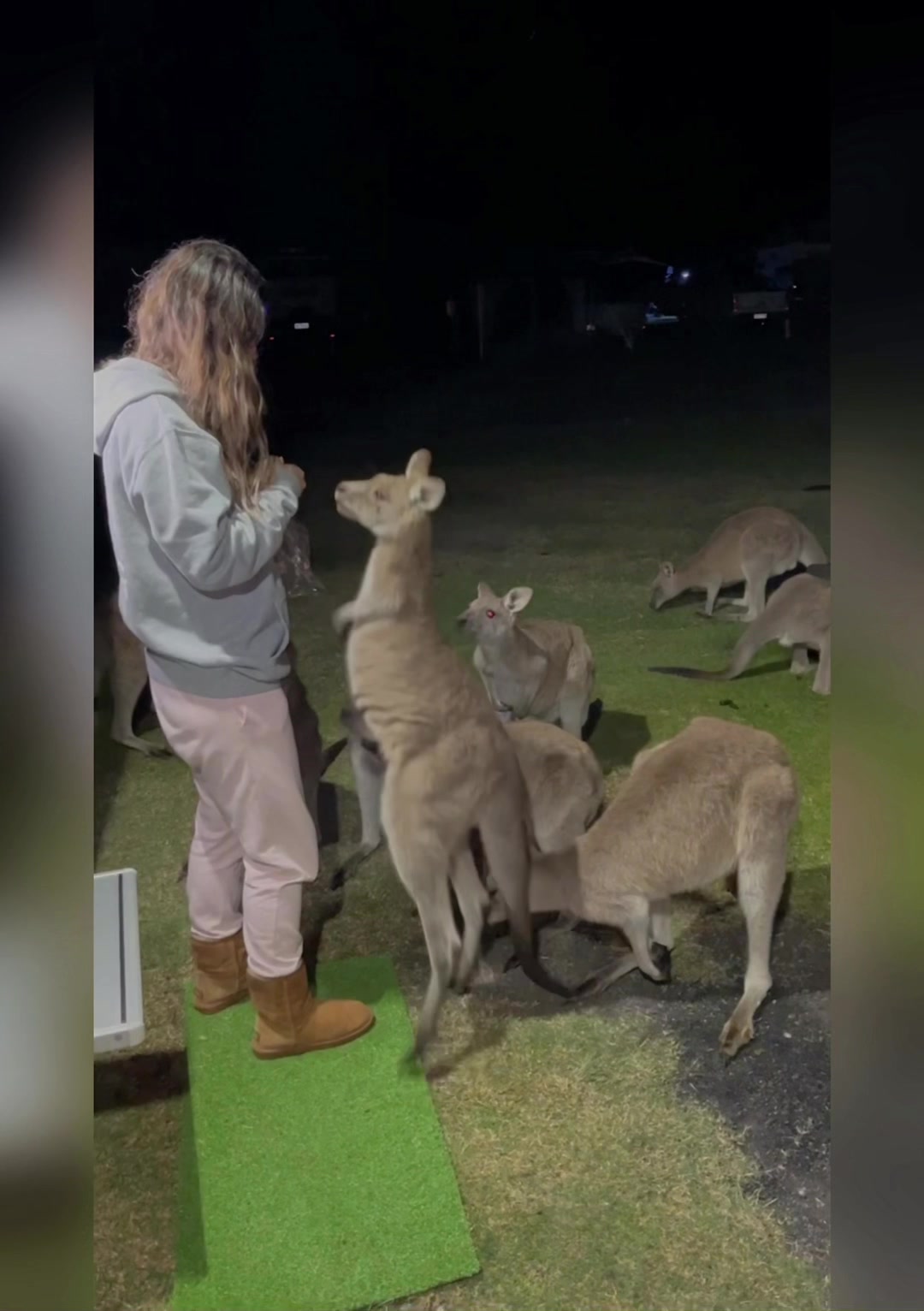 @Off Grid Oz Adventures