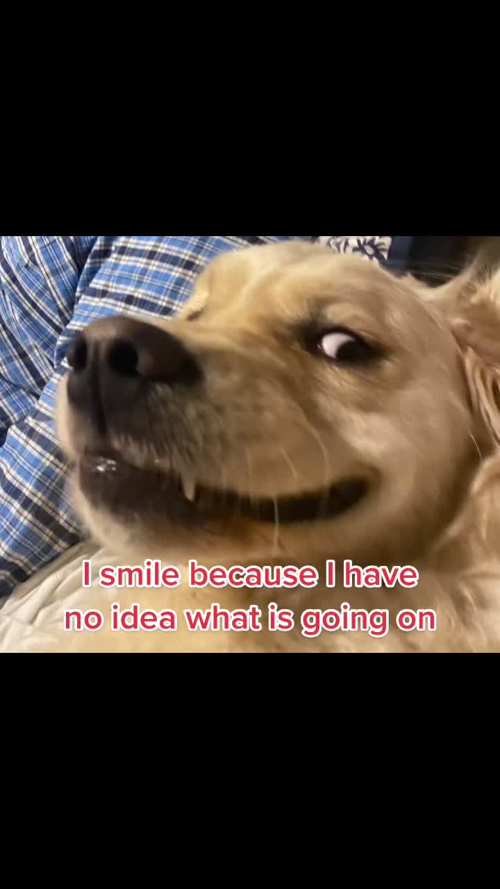 @Lb