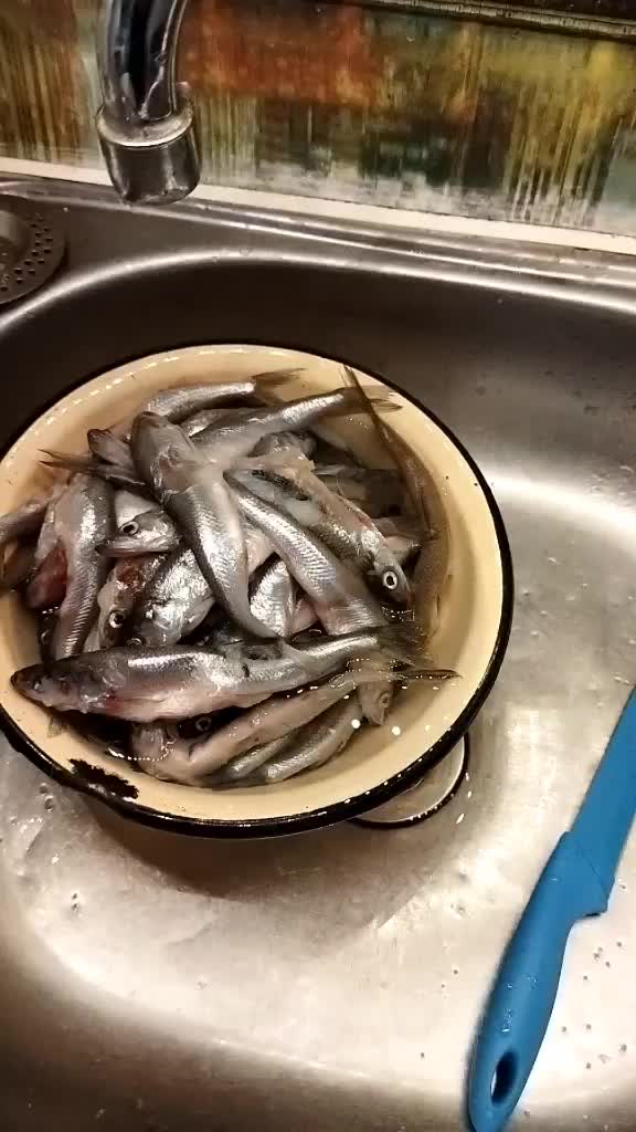@Светлана Мнацаканян