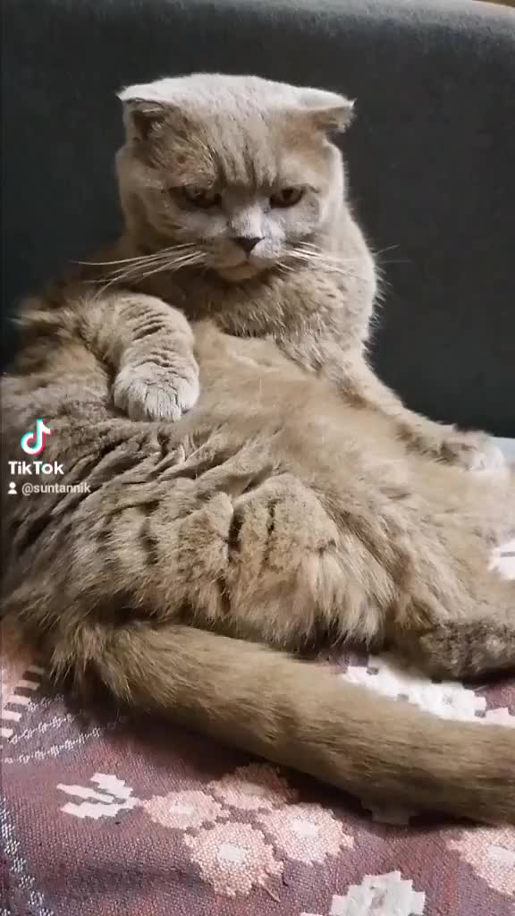 @Tatyana