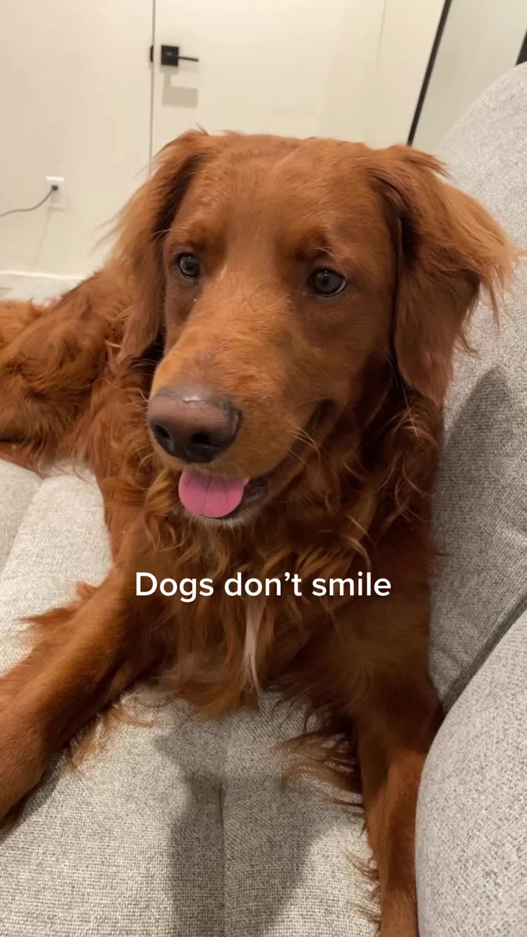 @Nat