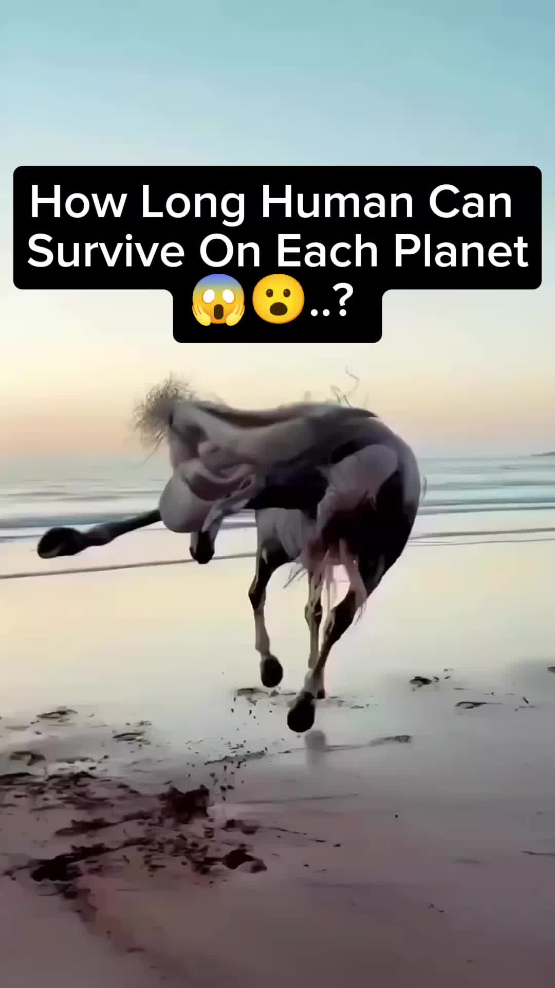 @horror videos