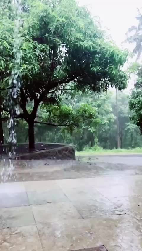 @s_^√℅℅℅