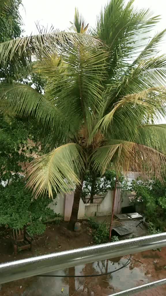 @rajeshmhatre