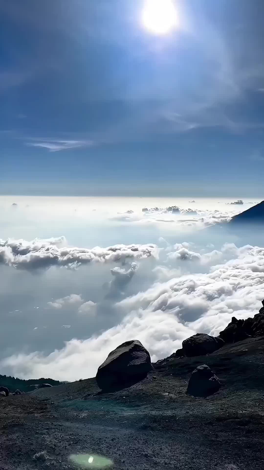 @Traveler