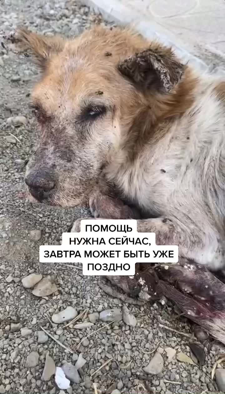 @Елена Белова
