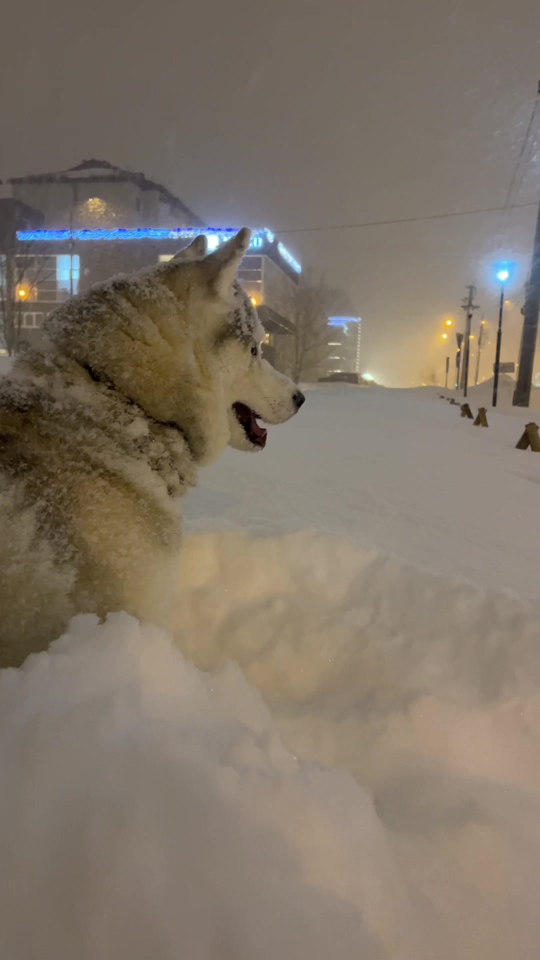 @судный день