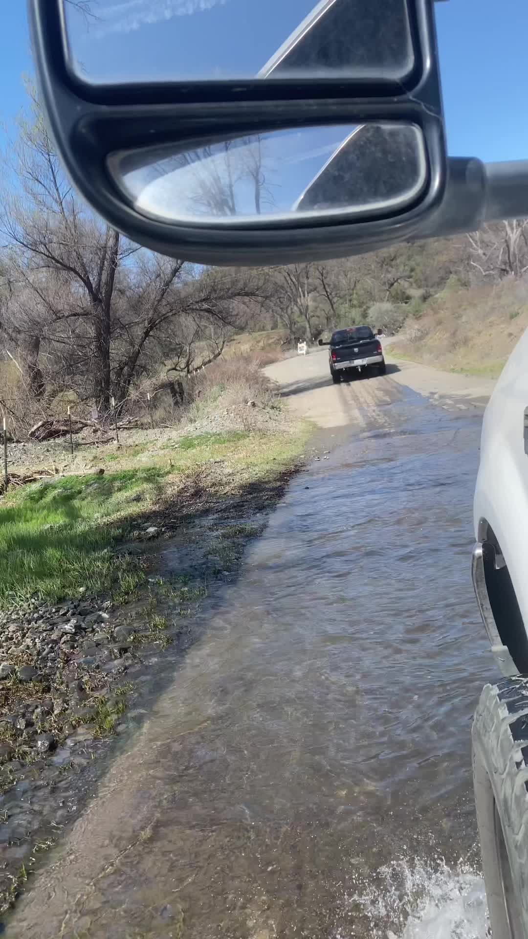@judcanfish