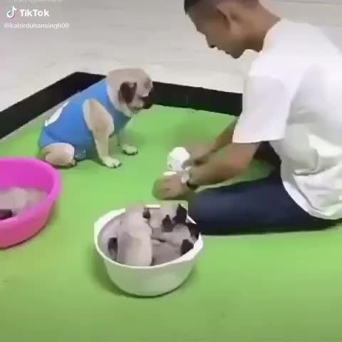 @Krishna Kumar😎😎