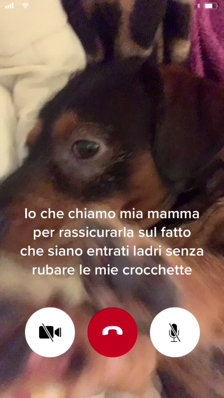 @Erica de rosa