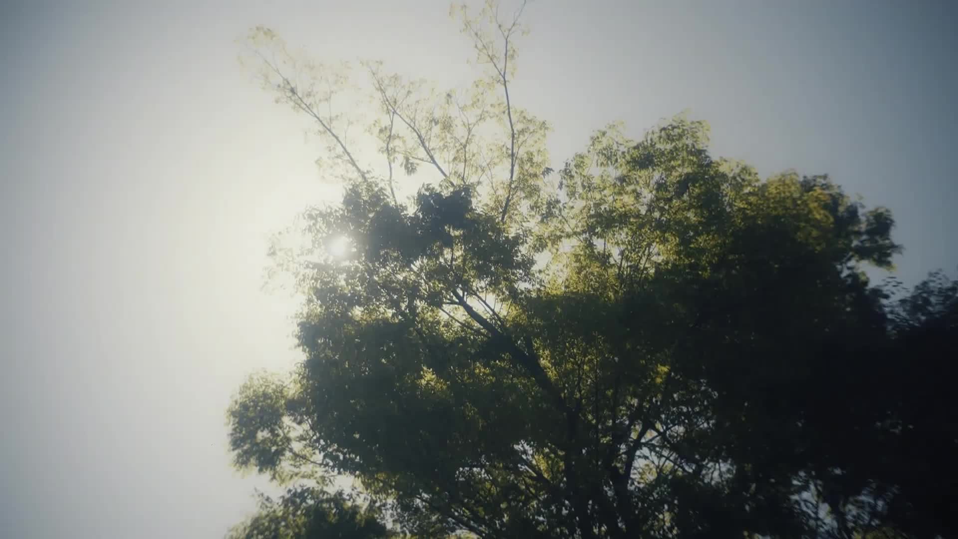 @ʕ ◦`꒳&acute;◦ʔ