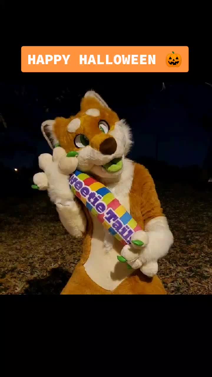 @CookieShiba