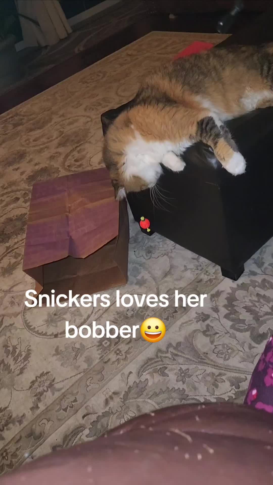 @stacymonfriesessentialoils