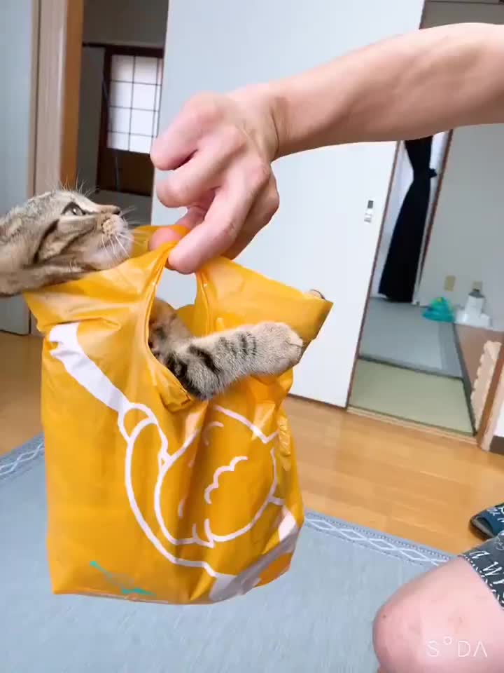 @𝕐&𝕐
