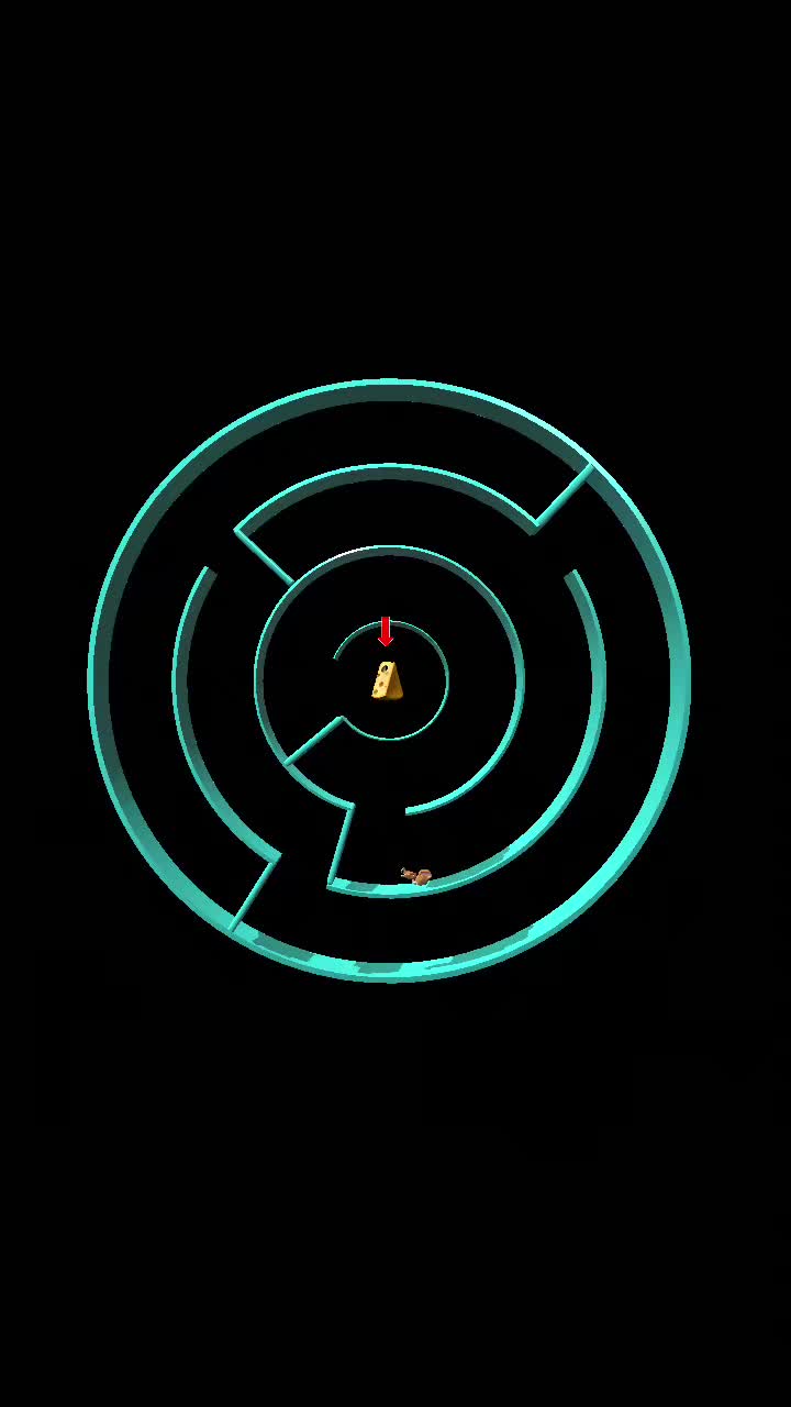 @5starman
