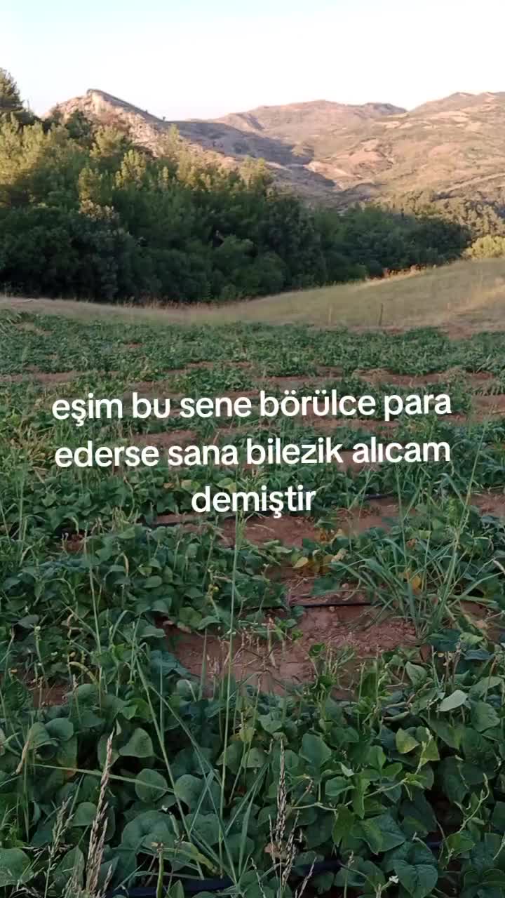 @hanifemalim