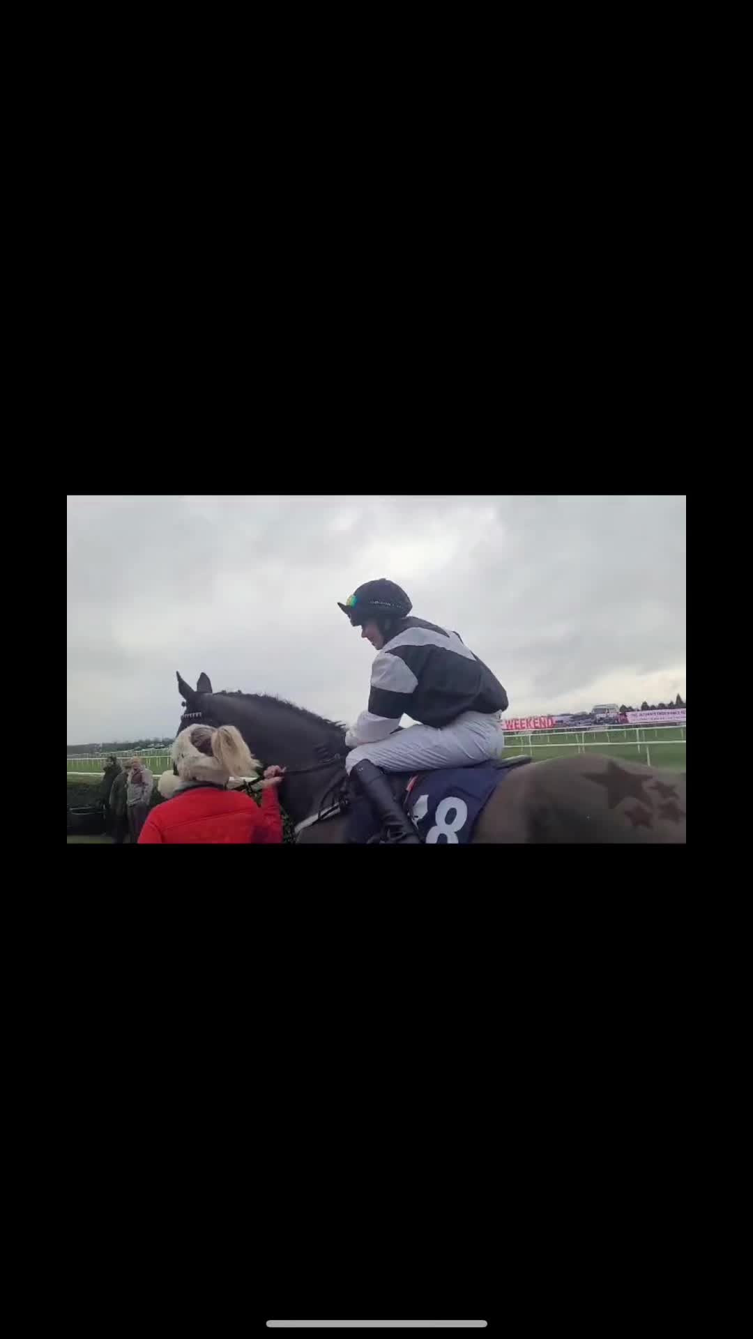 @chillsandchampionsequine