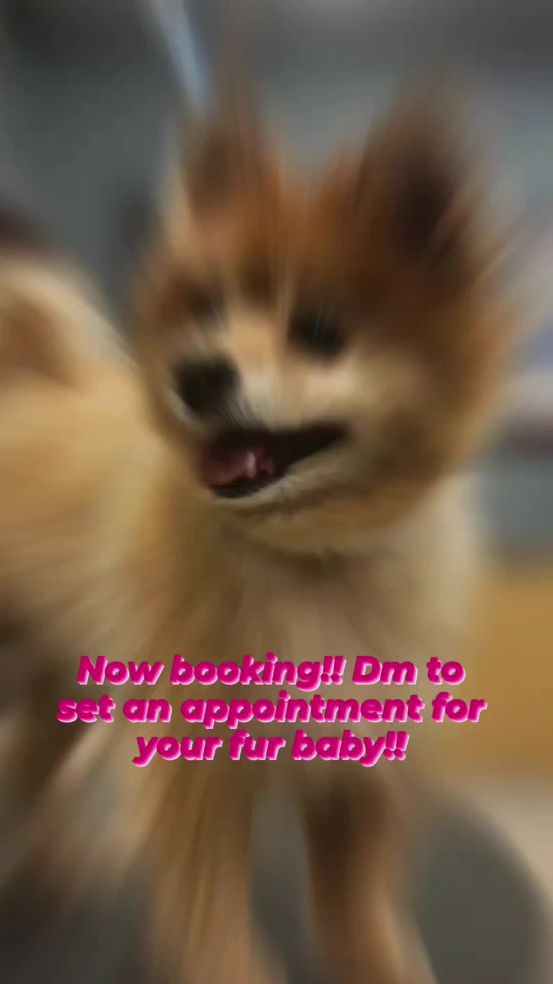 @therealcandygrl