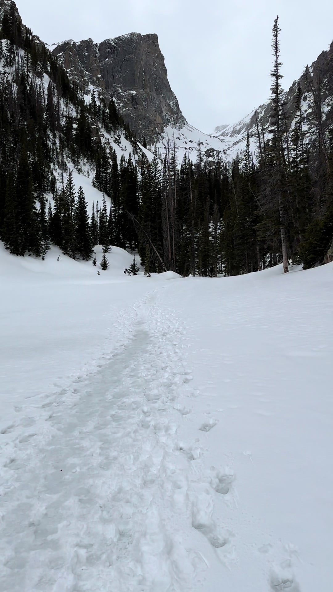 @Marissa