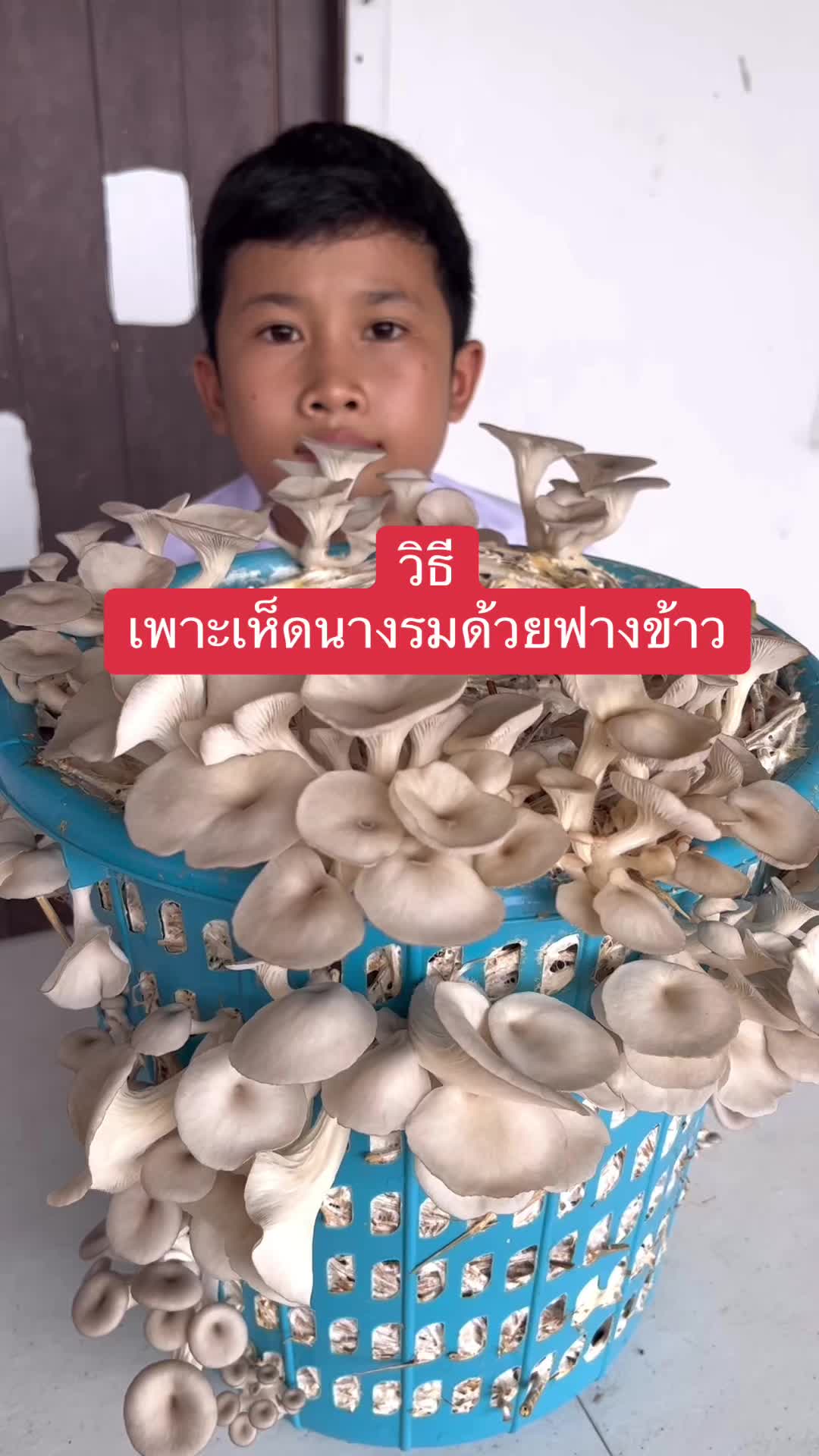 @เกษตรกรรม บูรณาการ
