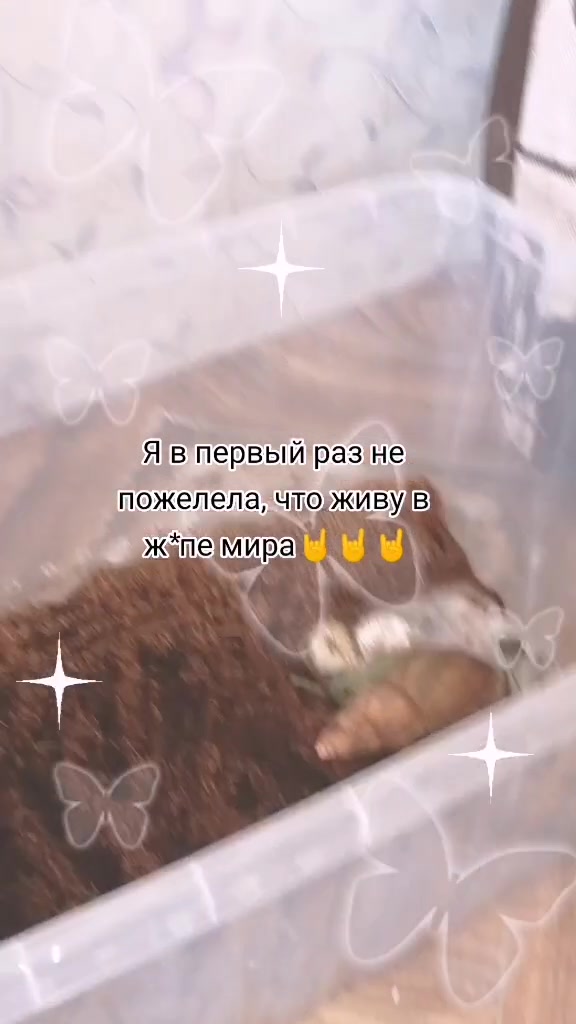 @Улиточки🐌💞