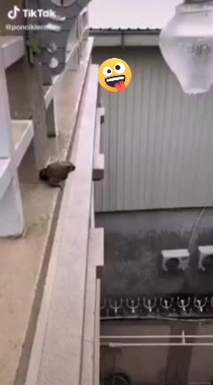 @BuBzZ_TV