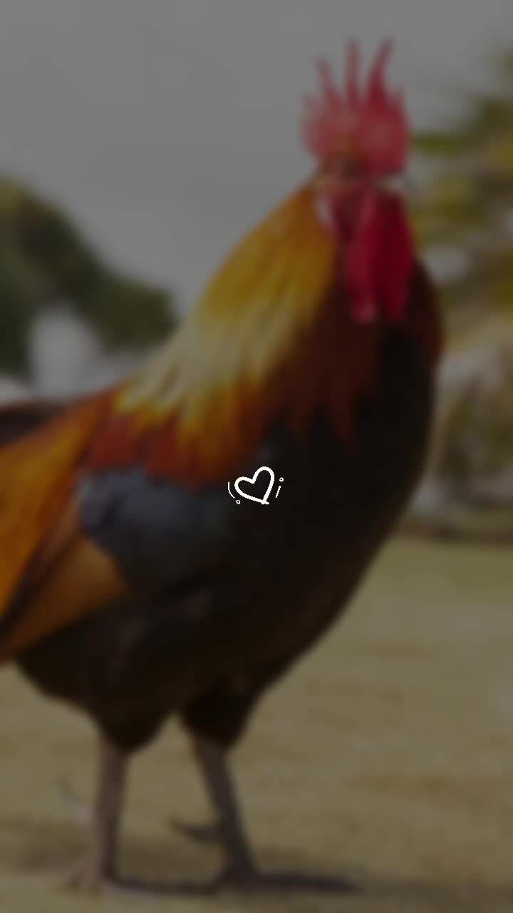 @Uguijaja