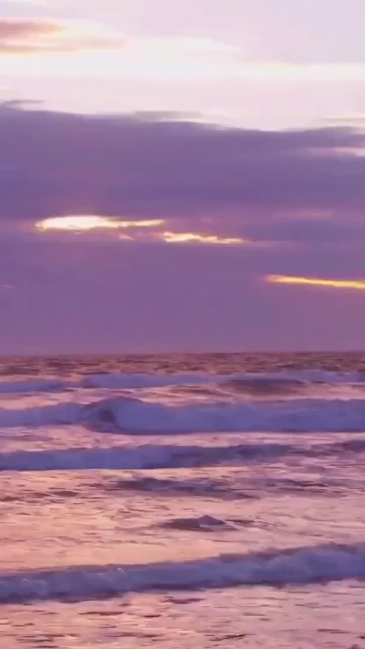 @cbdjskhbp0n