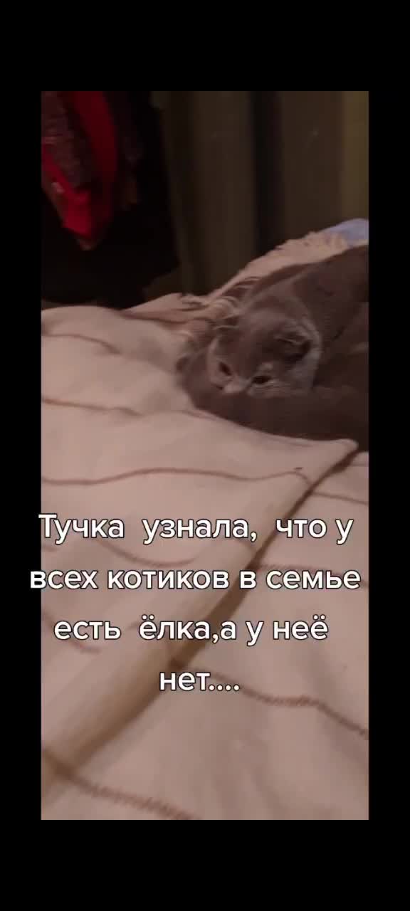 @zena