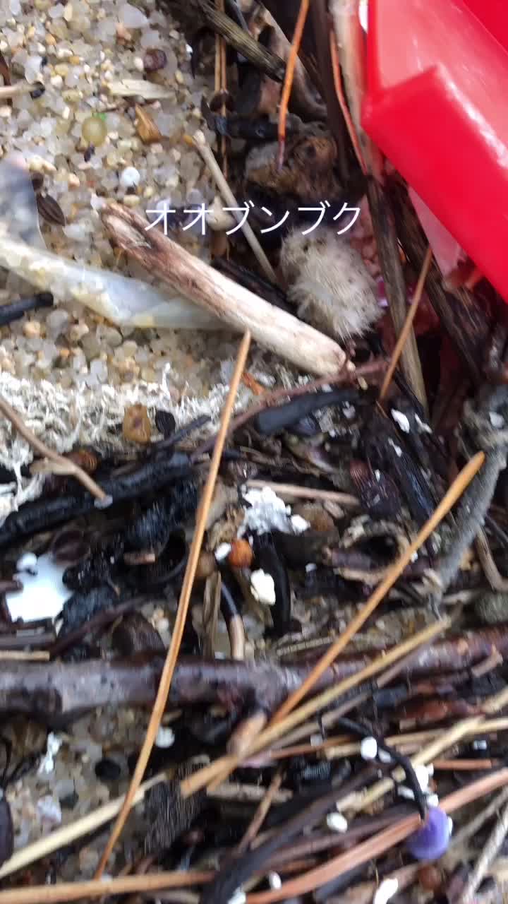 @calm シーグラスと天然石