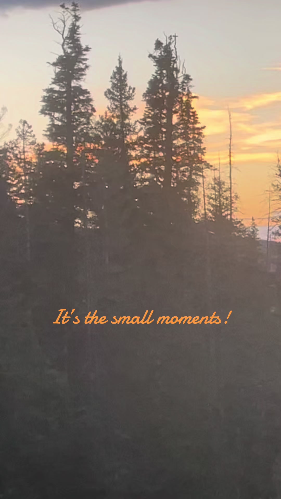 @CedarLightsFirewood