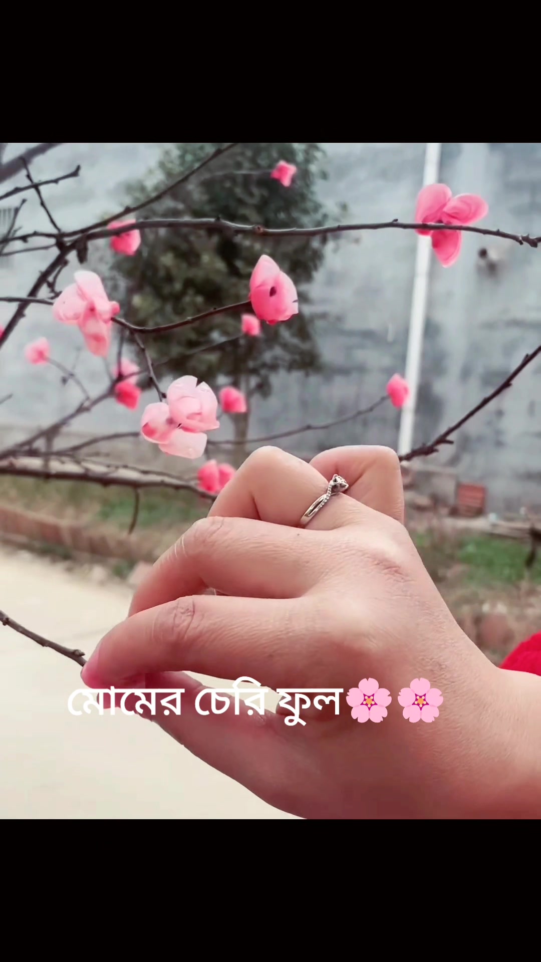 @🥰💚 So___nia 💚🥰