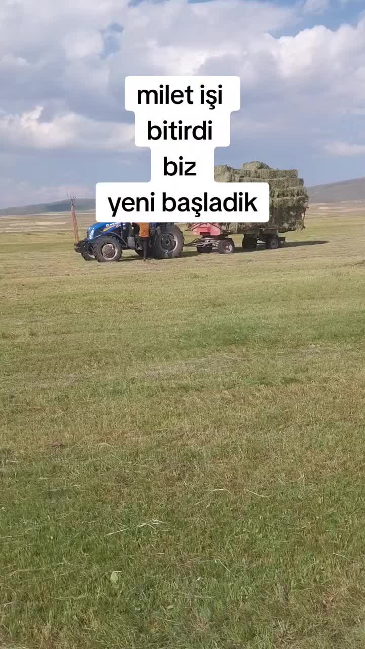 @erhan75