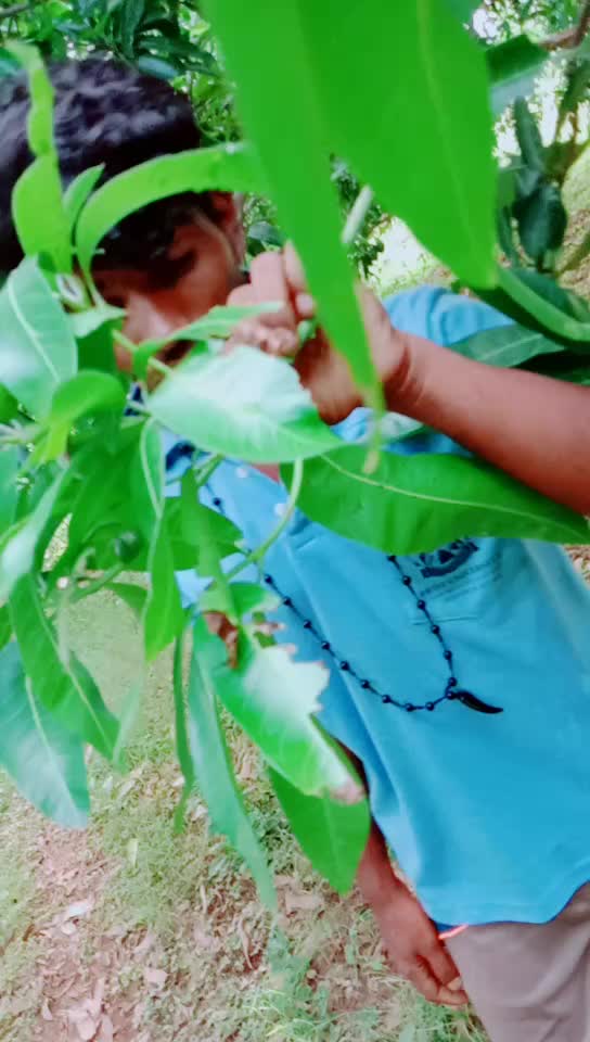 @seemon2kids
