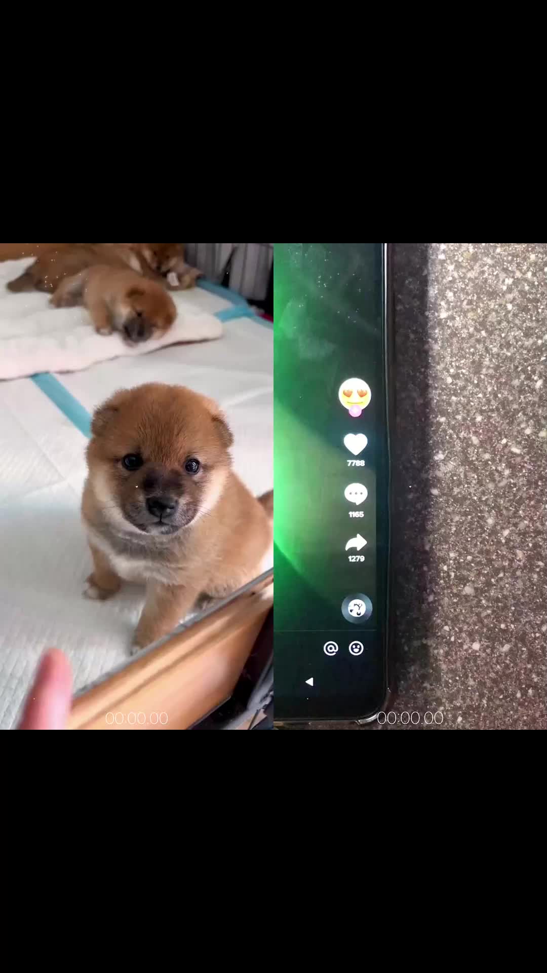 @MAX354655