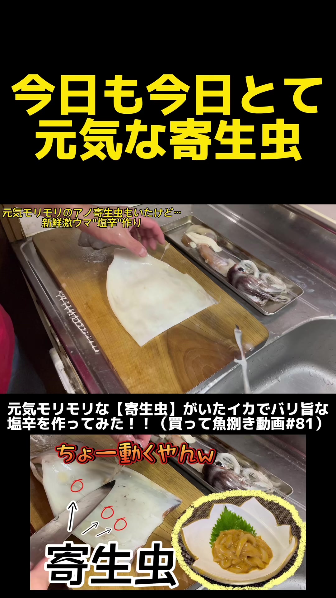 @俺たまご。