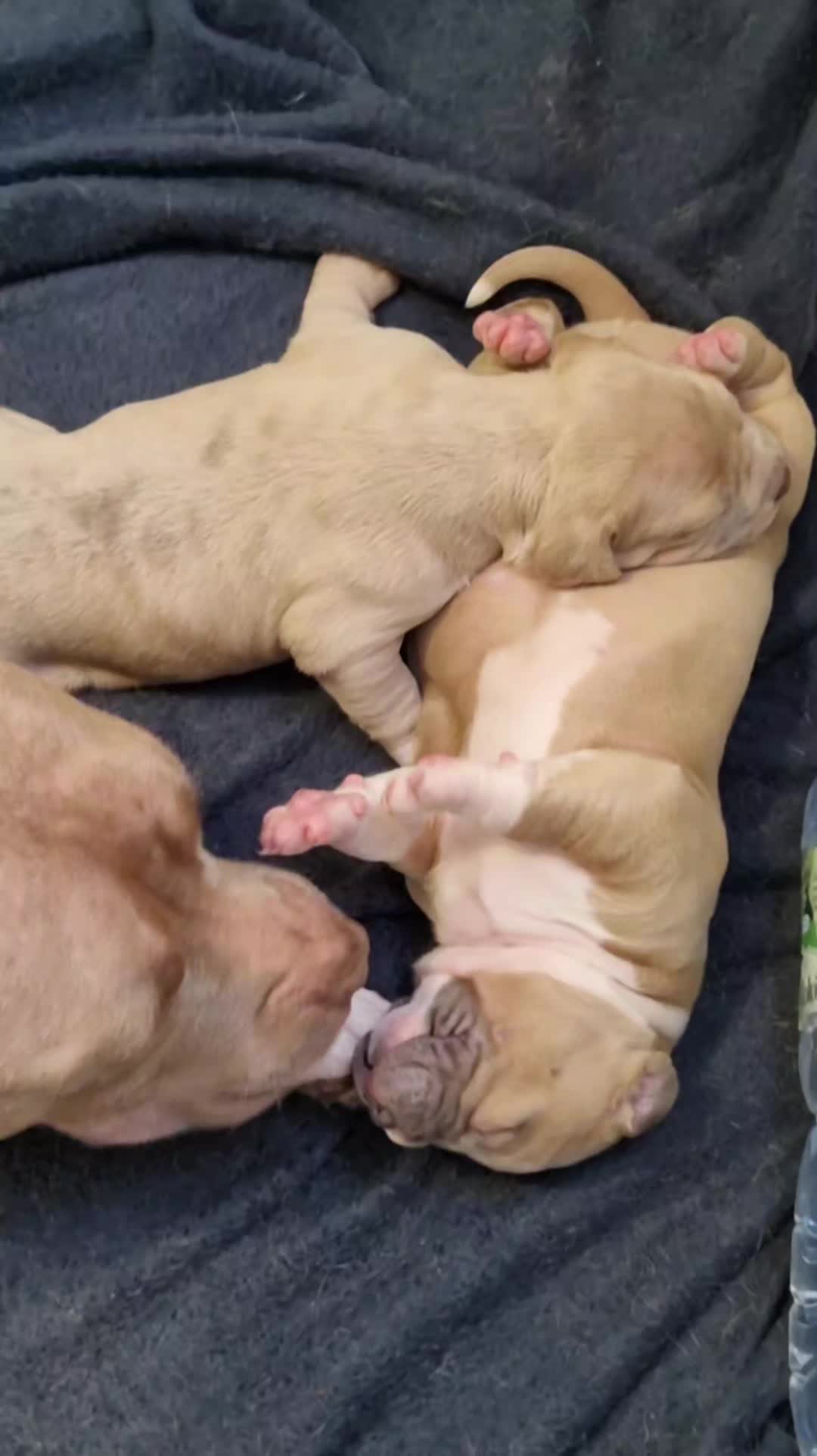 @Baby'sNala