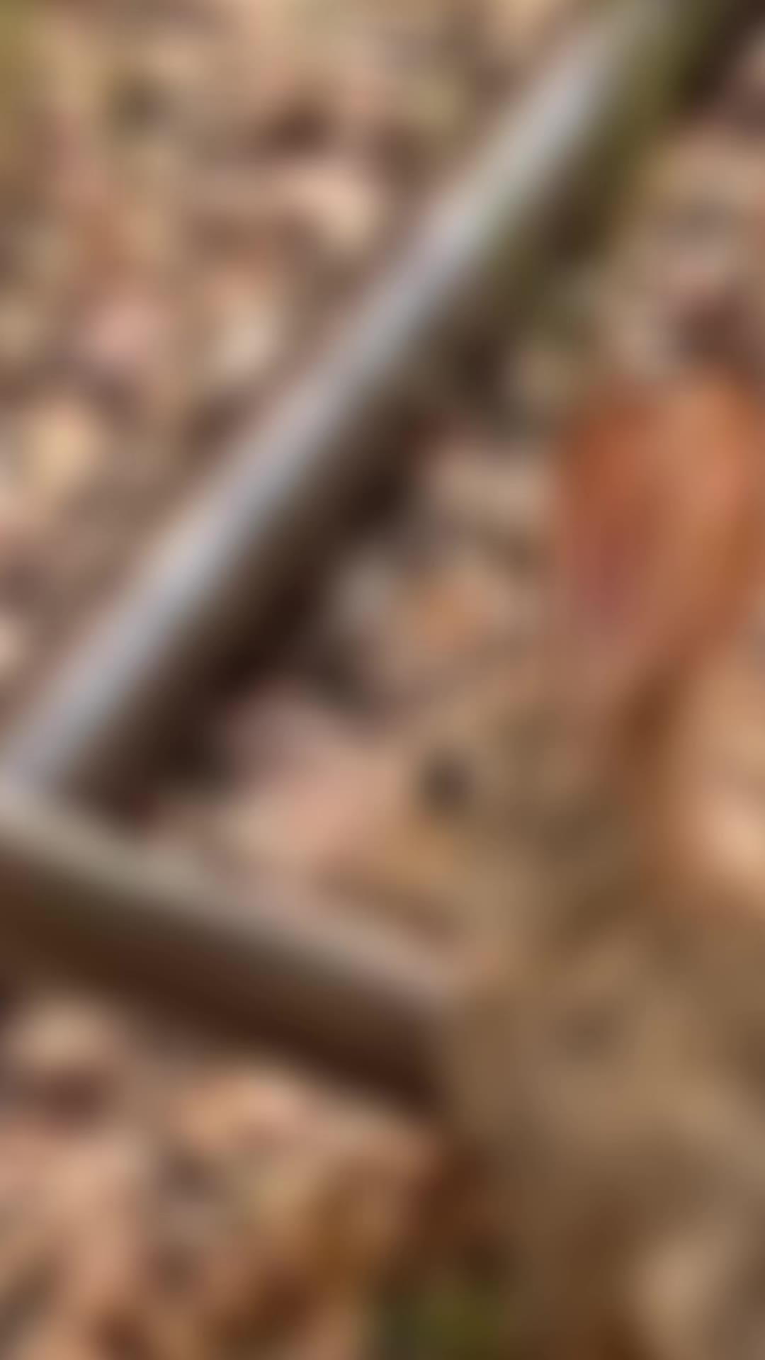 @Mycmyers