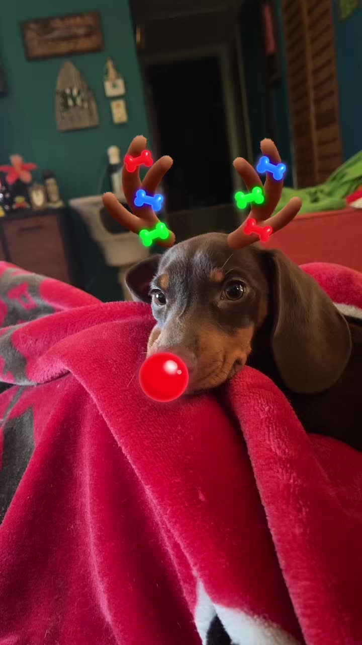 @dejahlee