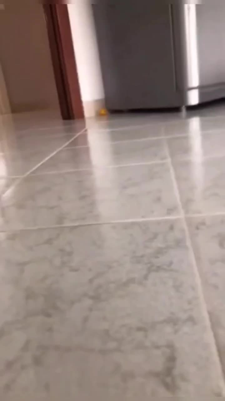 @leonupetpet
