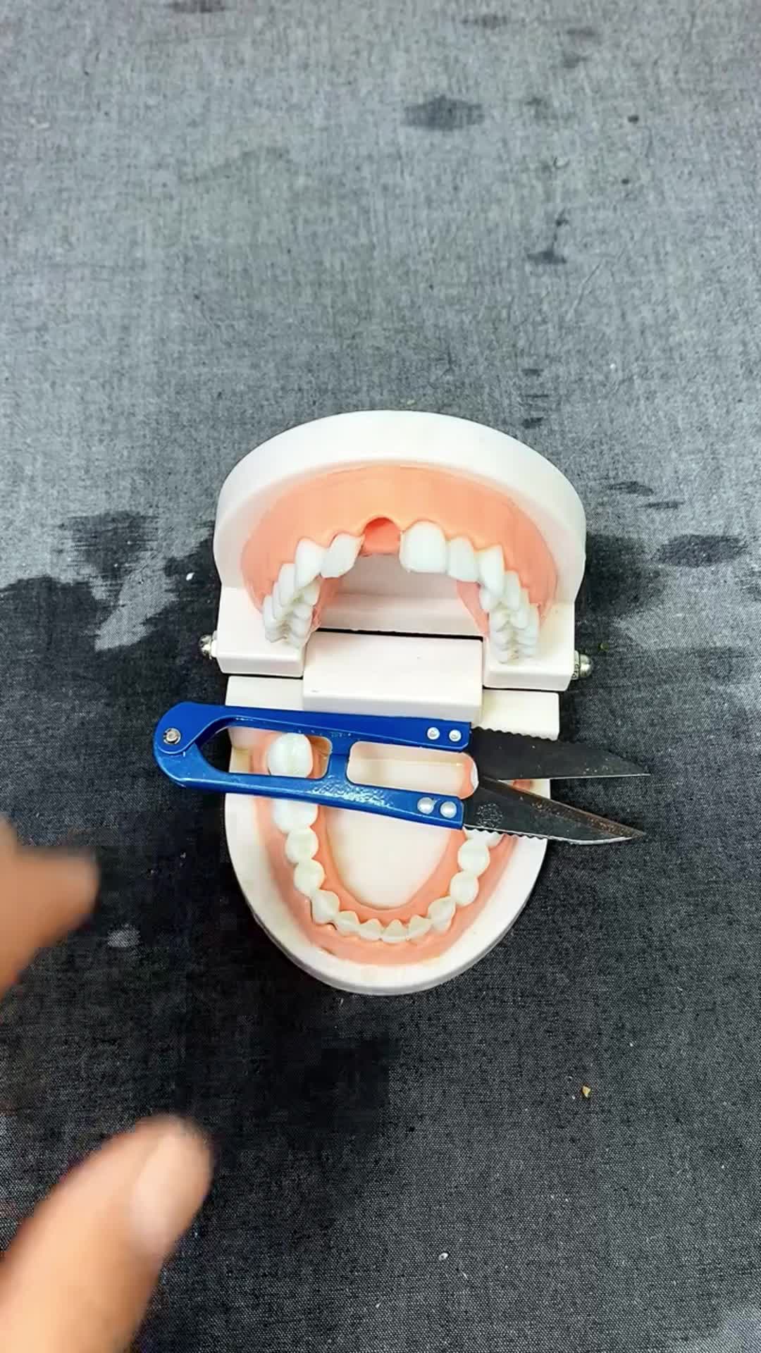 @Dr.Tooth.repair