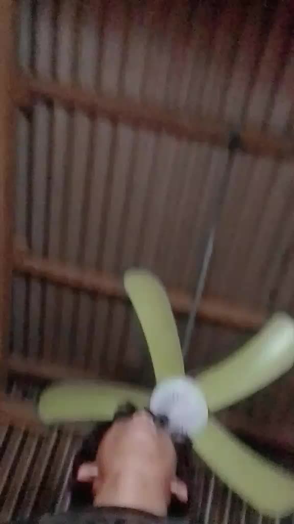 @rehenamae12✨