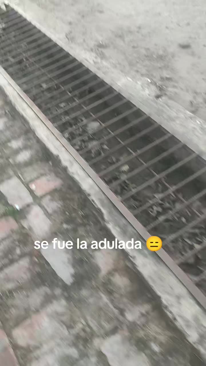 @Cali 🥷🏁🤟