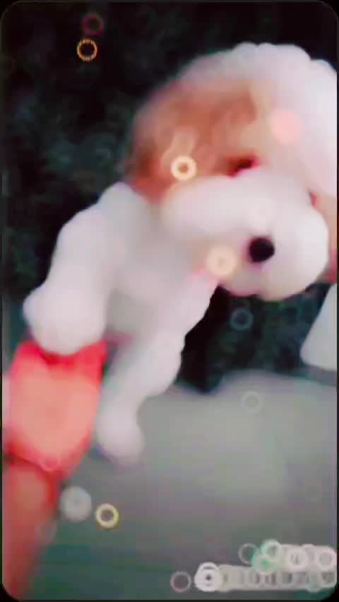 @🦋🤍